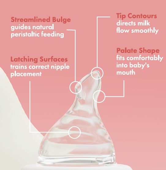 Minbie nipple anatomy: streamlined bulge, latching surfaces, tip contours and palate shape, with callouts showing their positions